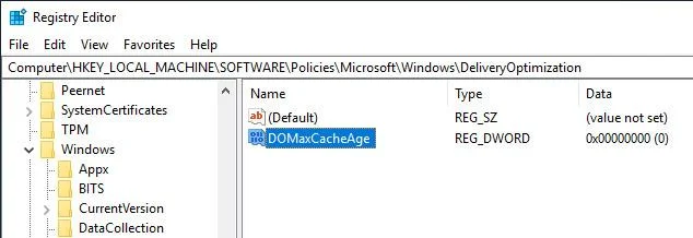 Bagaimana untuk mengoptimumkan cache Pengoptimuman Penghantaran dalam Windows 10