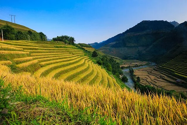 Kertas dinding padang teres yang cantik untuk komputer