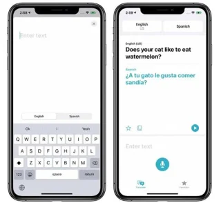 Cara menggunakan apl Terjemah baharu pada iPhone