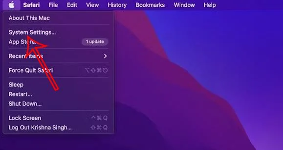 Apple Music で機密性の高い曲を非表示にする方法