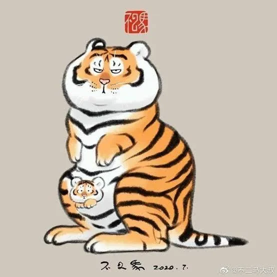 Sfondi di tigre grassa, foto carine di tigre grassa