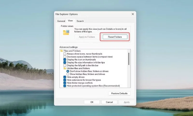 在 Windows 11 中將資料夾視圖設定重設為預設值的 3 種方法