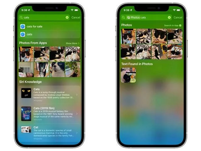 Ciri baharu dalam apl Photos pada iOS 15