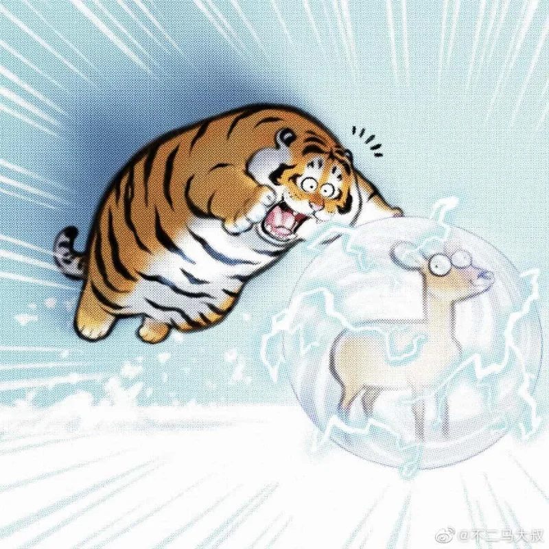 Sfondi di tigre grassa, foto carine di tigre grassa