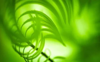 Laden Sie jetzt ein neues Theme-Set mit vielen Themes speziell für Windows 10 herunter