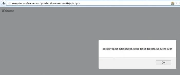 Web7: Eksploitasi XSS – Bahagian 1: XSS yang dicerminkan