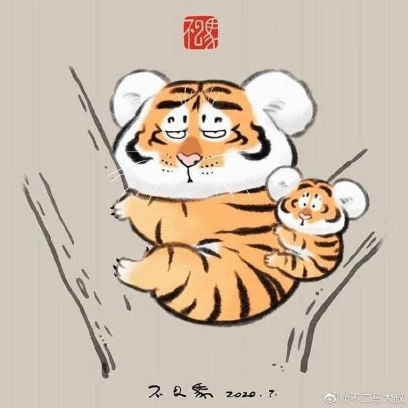 Sfondi di tigre grassa, foto carine di tigre grassa