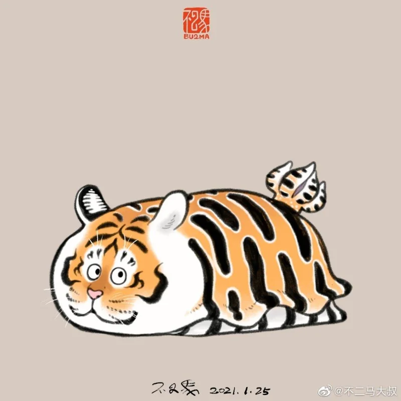 Sfondi di tigre grassa, foto carine di tigre grassa
