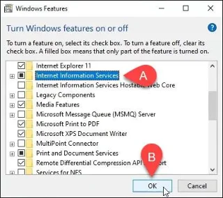 Windows 10'da IIS'de bir web sitesi yükleyin ve kurun