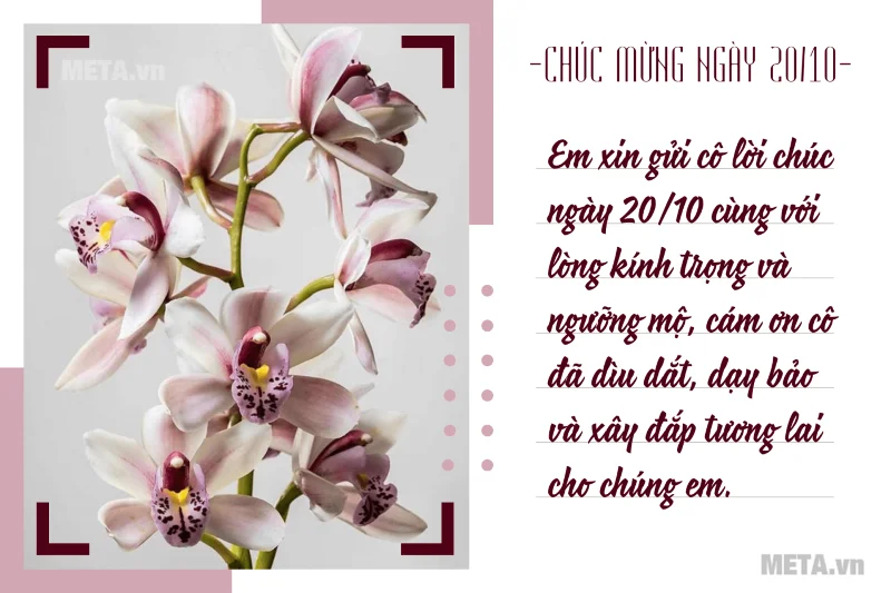 Imej 20 Oktober yang cantik dan unik untuk wanita