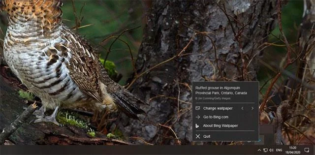 Alami Kertas Dinding Bing: Aplikasi secara automatik bertukar kepada kertas dinding desktop baharu setiap hari