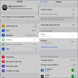 Bagaimana untuk menukar ikon pembawa untuk iPhone