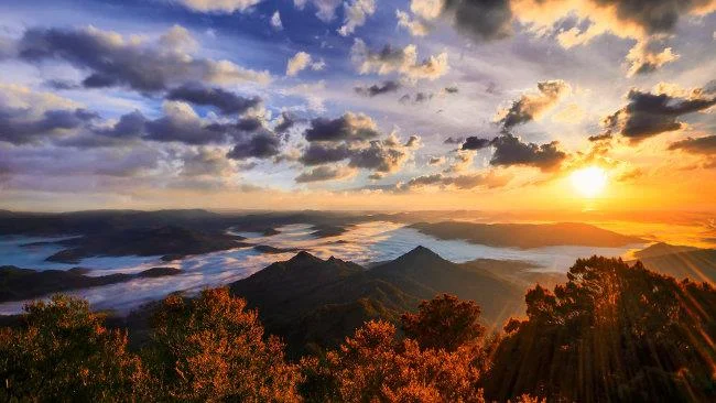 Set kertas dinding alam semula jadi berkualiti 4k yang cantik untuk komputer