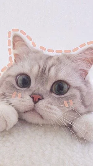 Koleksi 70 kertas dinding kucing comel untuk telefon anda