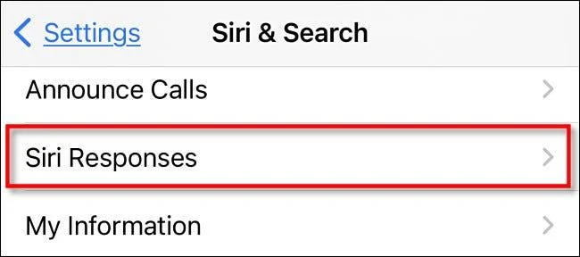 Cara membisukan Siri menggunakan suis dering pada iPhone