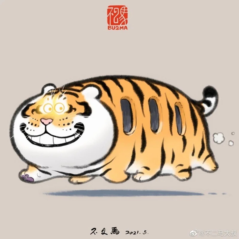 Sfondi di tigre grassa, foto carine di tigre grassa