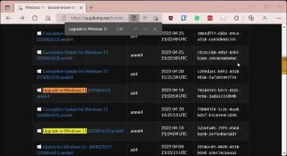 Hoe Windows 11 ARM te downloaden en te installeren met behulp van het ISO-bestand