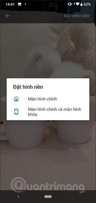 Cara menggunakan Walloop Engine untuk memasang kertas dinding langsung Android