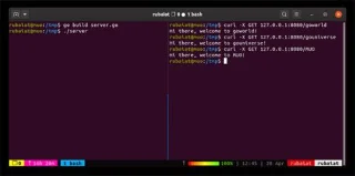 Go kullanarak temel bir web sunucusu nasıl oluşturulur