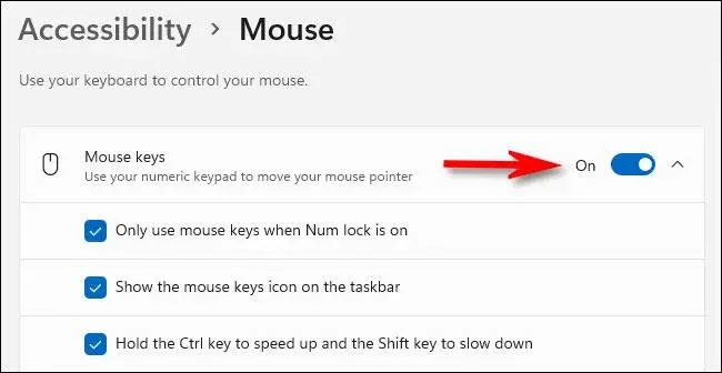Windows 11'de sayısal tuş takımı fare olarak nasıl etkinleştirilir