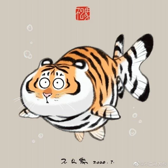 Sfondi di tigre grassa, foto carine di tigre grassa