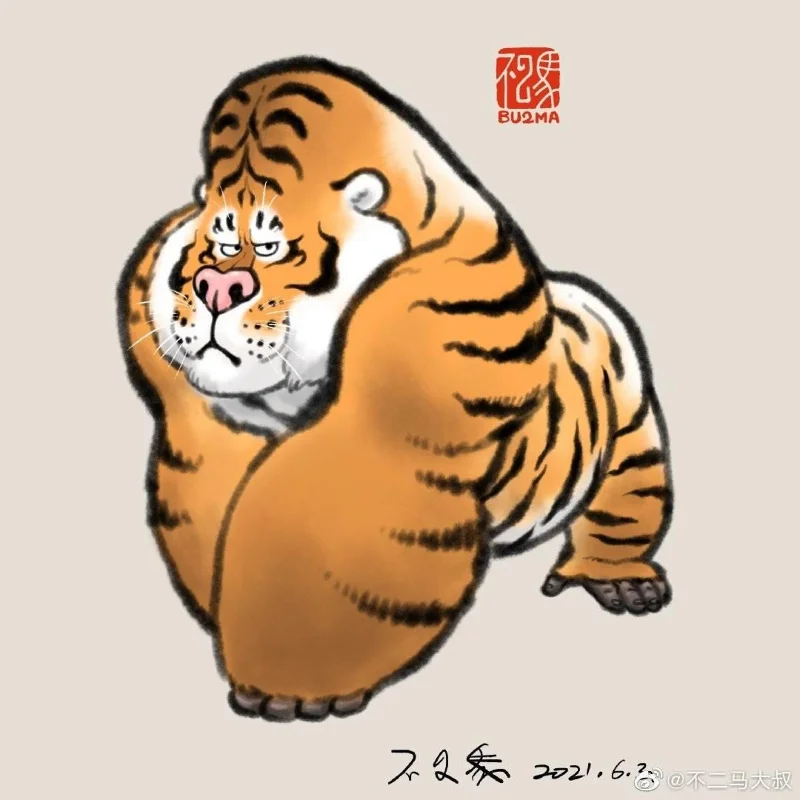 Sfondi di tigre grassa, foto carine di tigre grassa