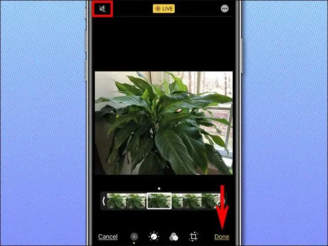 iPhoneでLive Photosから音声を分離する方法