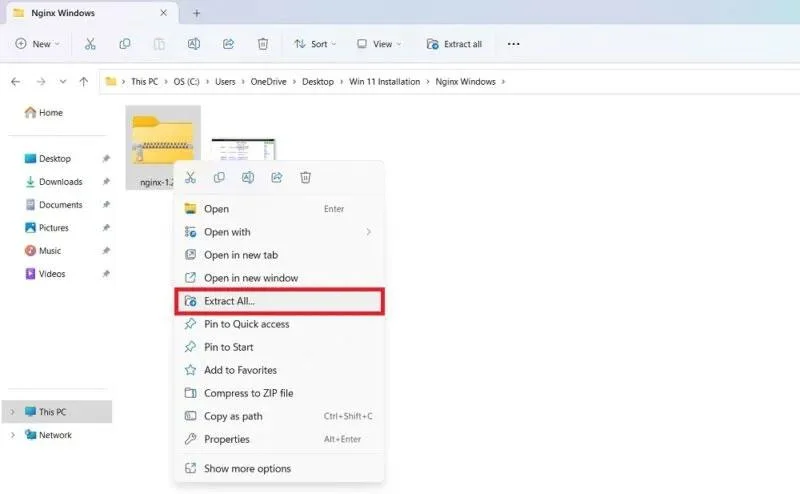 Windows'ta Nginx Sunucusu nasıl kurulur ve çalıştırılır
