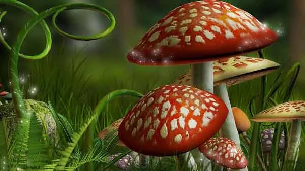Set kertas dinding 3D yang sangat cantik untuk komputer
