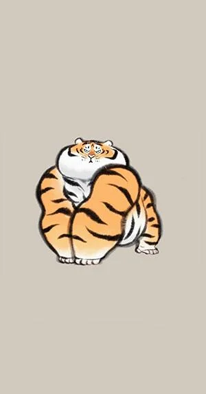 Sfondi di tigre grassa, foto carine di tigre grassa
