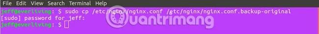 Nginx ile DDoS saldırıları nasıl önlenir?