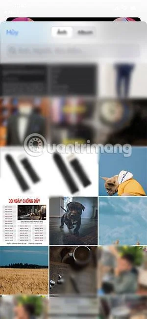 Cipta kertas dinding telinga beruang dan telinga kucing dengan Simple Notch