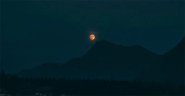 100+ kertas dinding yang cantik dengan banyak tema untuk komputer dan komputer riba