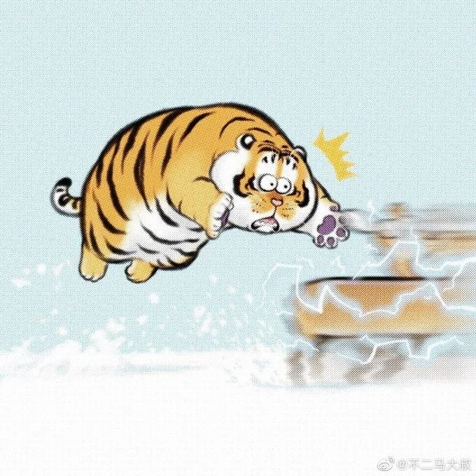 Sfondi di tigre grassa, foto carine di tigre grassa