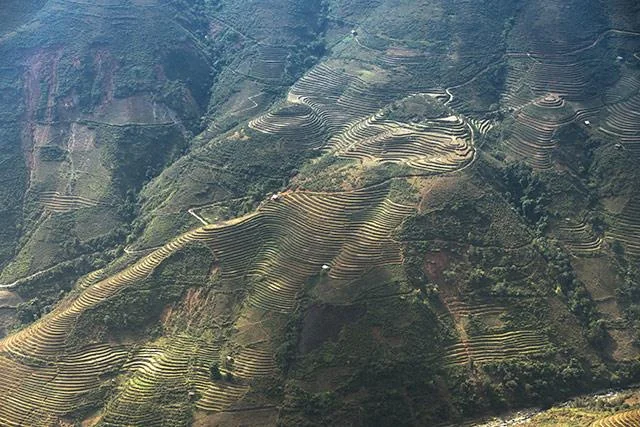 Kertas dinding padang teres yang cantik untuk komputer