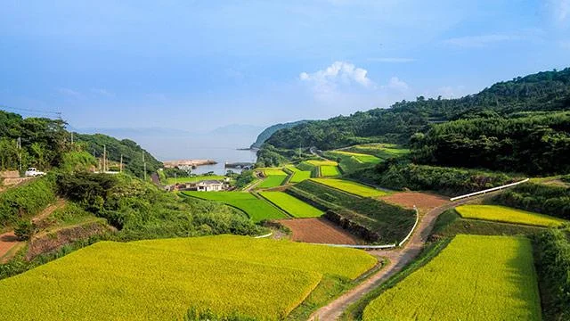 Kertas dinding padang teres yang cantik untuk komputer
