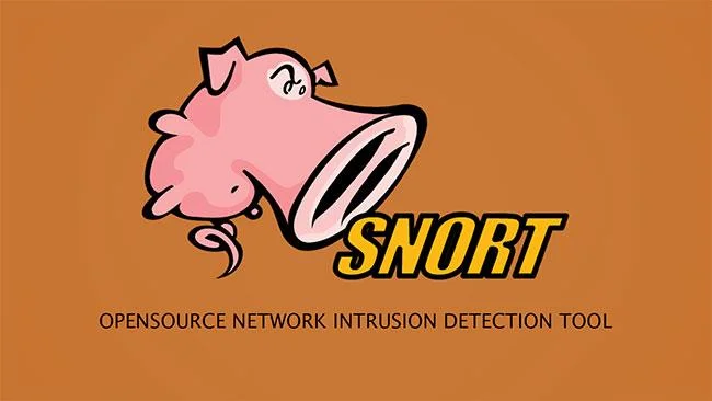 Top 5 der kostenlosen Intrusion Detection (IDS) und Intrusion Prevention (IPS)-Software