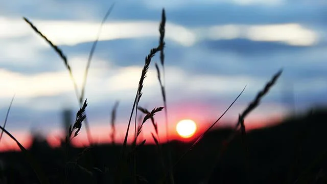 Mavi duvar kağıtları, mavi arka plan resimleri