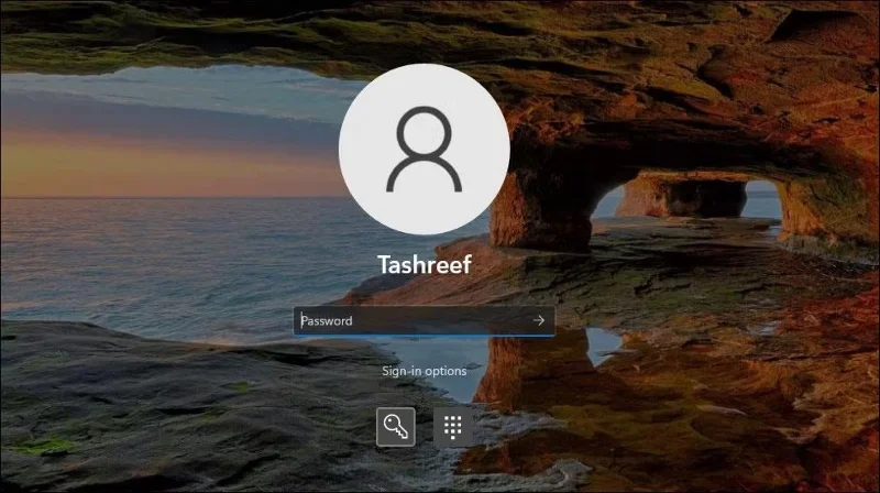 Options de connexion par mot de passe dans Windows 11