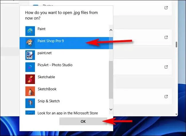 Instructies voor het instellen van de standaardapplicatie om bestanden te openen op Windows 11