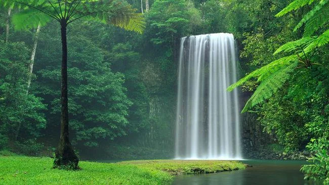 Set kertas dinding alam semula jadi berkualiti 4k yang cantik untuk komputer