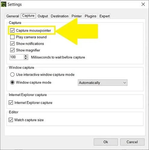 Arahan untuk mengambil tangkapan skrin yang mengandungi kursor tetikus dalam Windows