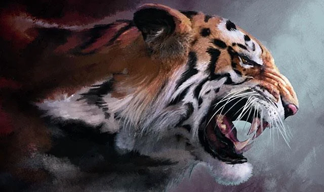 Kertas dinding harimau yang sangat cantik untuk komputer, kertas dinding harimau untuk komputer riba