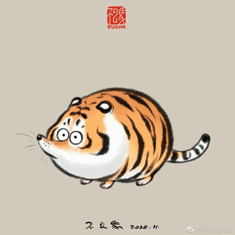 Sfondi di tigre grassa, foto carine di tigre grassa