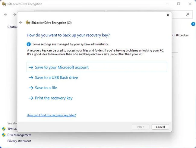 Windows 11 sabit diski nasıl şifrelenir