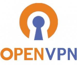 OpenVPN nedir? Hangi OpenVPN istemcisi en iyisidir?