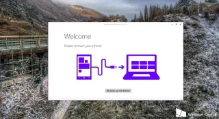 Windows 10 Mobileı Windows Phone 8.1e düşürme talimatları