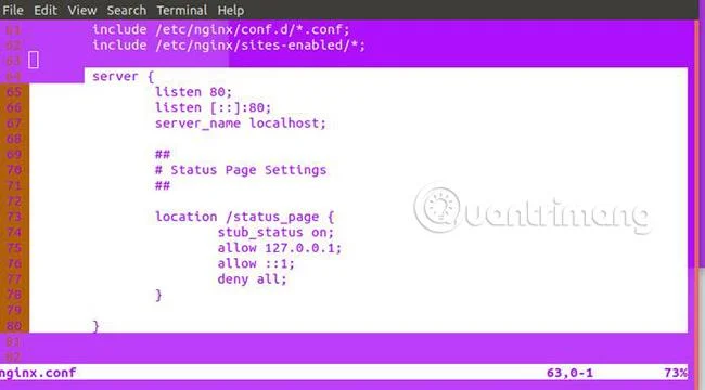 Nginx ile DDoS saldırıları nasıl önlenir?