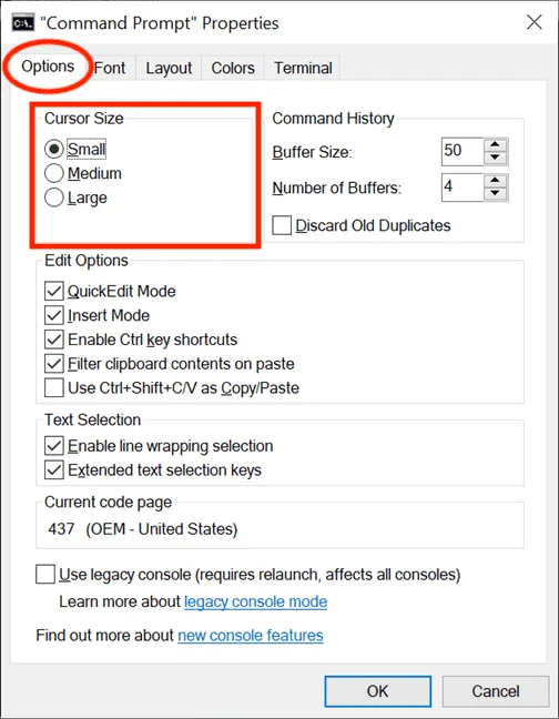 Windows'ta Komut İstemi nasıl özelleştirilir