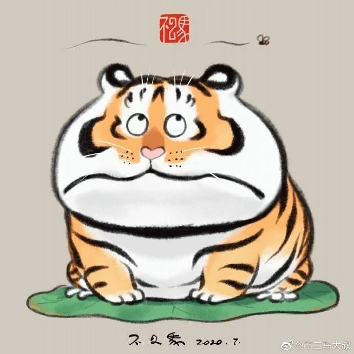 Sfondi di tigre grassa, foto carine di tigre grassa